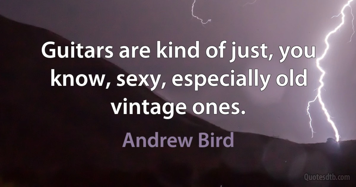 Guitars are kind of just, you know, sexy, especially old vintage ones. (Andrew Bird)