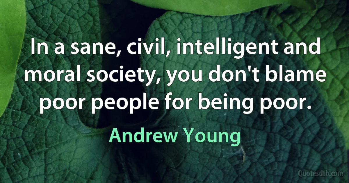 In a sane, civil, intelligent and moral society, you don't blame poor people for being poor. (Andrew Young)