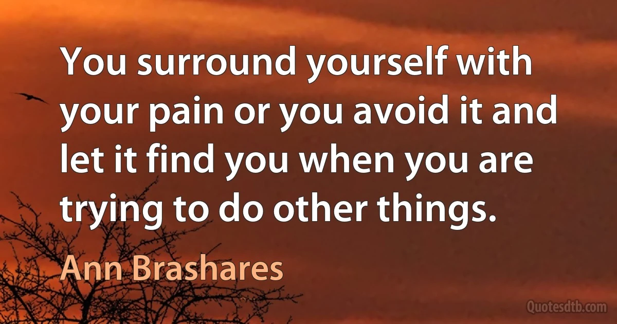 You surround yourself with your pain or you avoid it and let it find you when you are trying to do other things. (Ann Brashares)