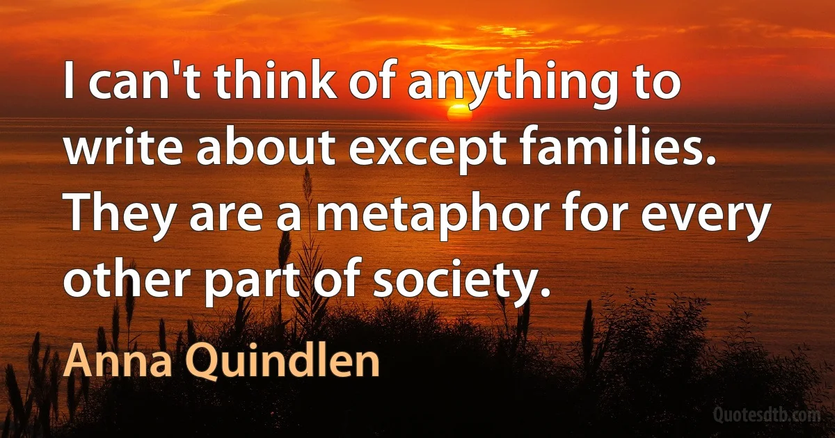 I can't think of anything to write about except families. They are a metaphor for every other part of society. (Anna Quindlen)