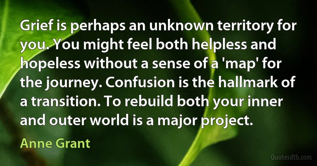 Grief is perhaps an unknown territory for you. You might feel both helpless and hopeless without a sense of a 'map' for the journey. Confusion is the hallmark of a transition. To rebuild both your inner and outer world is a major project. (Anne Grant)