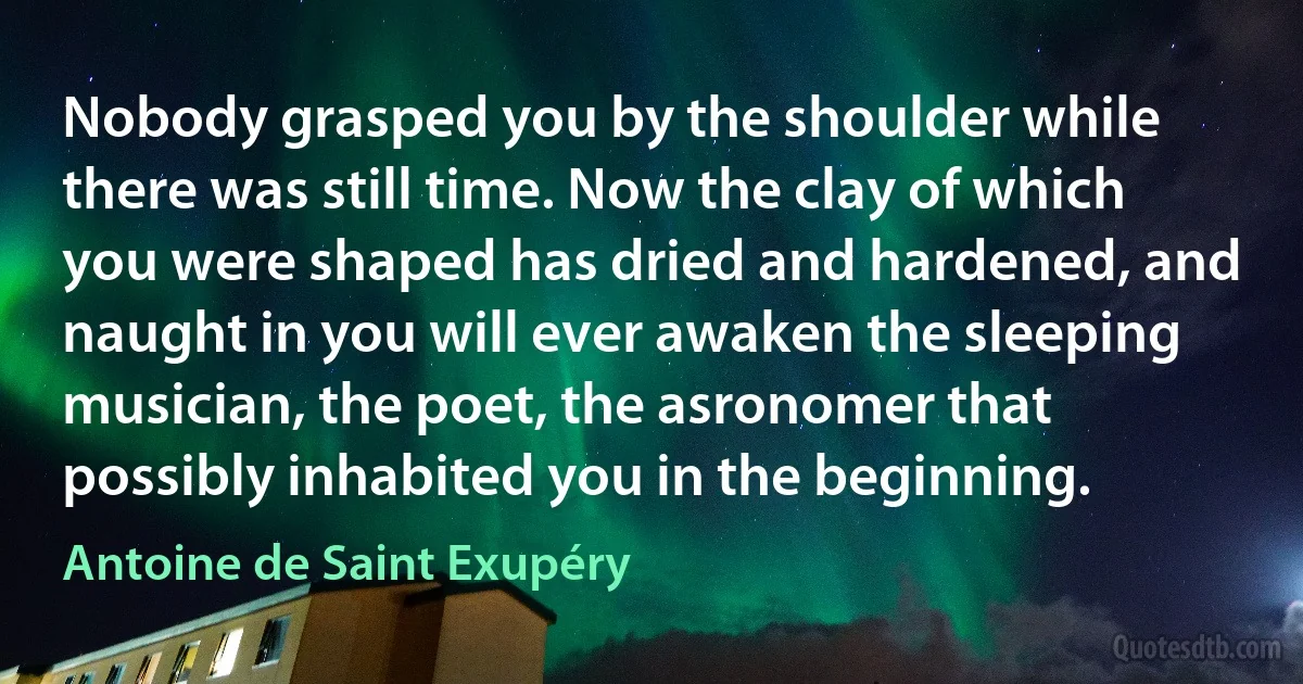 Nobody grasped you by the shoulder while there was still time. Now the clay of which you were shaped has dried and hardened, and naught in you will ever awaken the sleeping musician, the poet, the asronomer that possibly inhabited you in the beginning. (Antoine de Saint Exupéry)