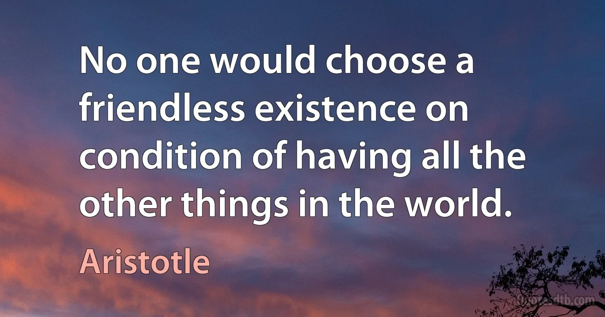 No one would choose a friendless existence on condition of having all the other things in the world. (Aristotle)