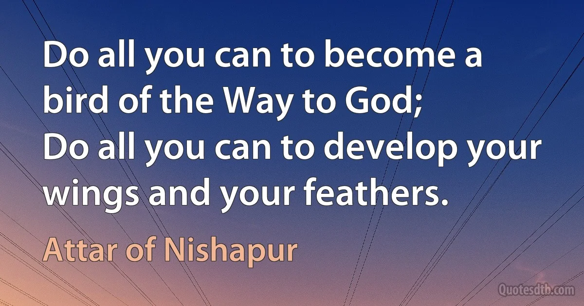 Do all you can to become a bird of the Way to God;
Do all you can to develop your wings and your feathers. (Attar of Nishapur)