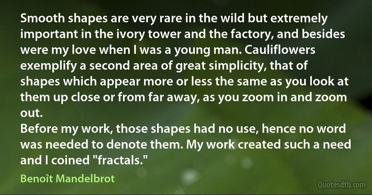 Smooth shapes are very rare in the wild but extremely important in the ivory tower and the factory, and besides were my love when I was a young man. Cauliflowers exemplify a second area of great simplicity, that of shapes which appear more or less the same as you look at them up close or from far away, as you zoom in and zoom out.
Before my work, those shapes had no use, hence no word was needed to denote them. My work created such a need and I coined "fractals." (Benoît Mandelbrot)