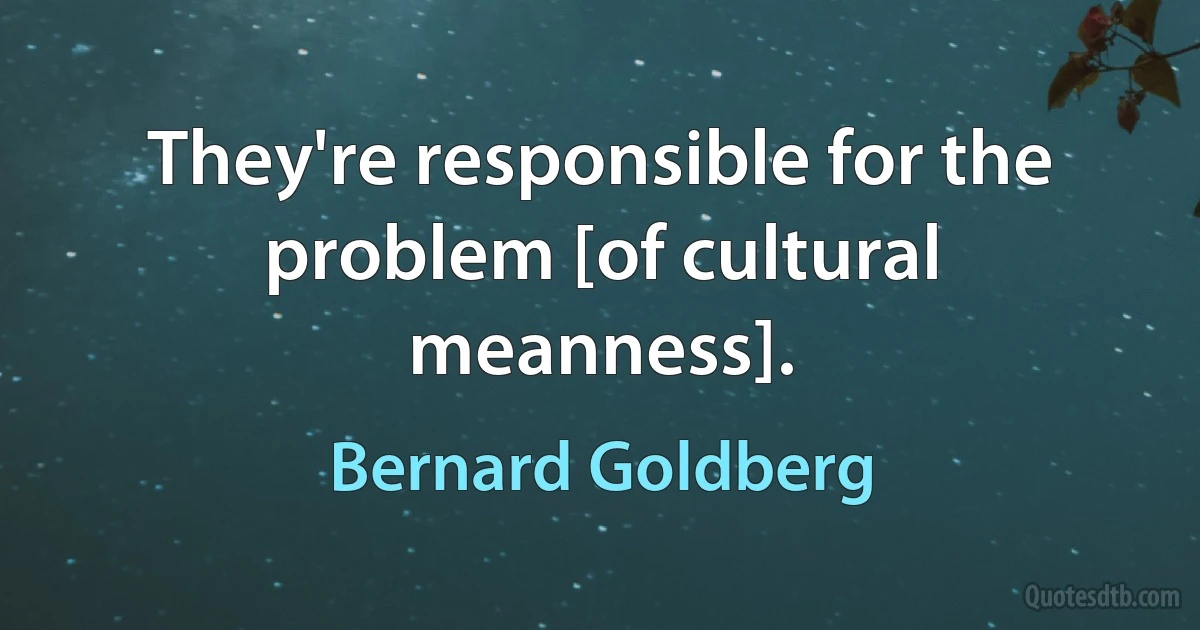 They're responsible for the problem [of cultural meanness]. (Bernard Goldberg)