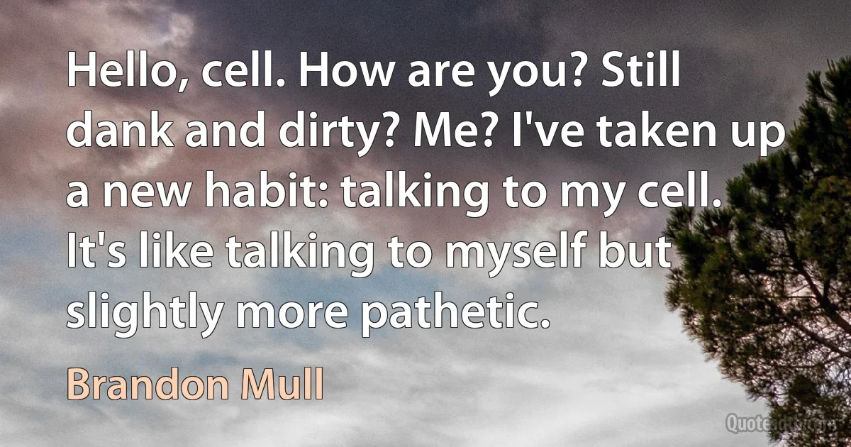 Hello, cell. How are you? Still dank and dirty? Me? I've taken up a new habit: talking to my cell. It's like talking to myself but slightly more pathetic. (Brandon Mull)