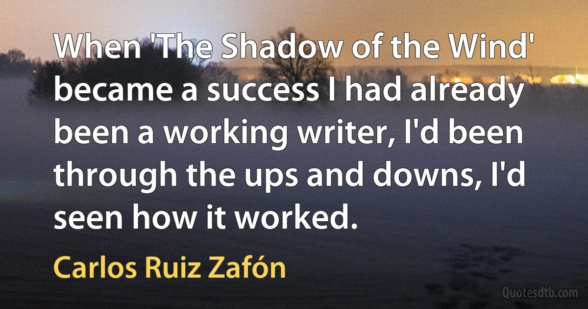 When 'The Shadow of the Wind' became a success I had already been a working writer, I'd been through the ups and downs, I'd seen how it worked. (Carlos Ruiz Zafón)