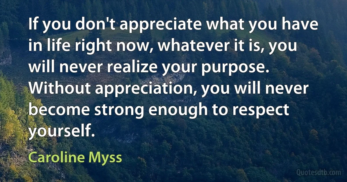 If you don't appreciate what you have in life right now, whatever it is, you will never realize your purpose. Without appreciation, you will never become strong enough to respect yourself. (Caroline Myss)