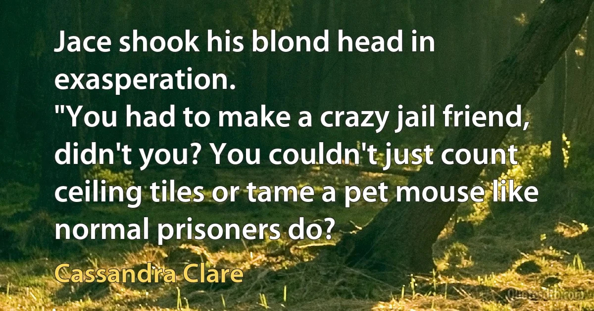 Jace shook his blond head in exasperation.
"You had to make a crazy jail friend, didn't you? You couldn't just count ceiling tiles or tame a pet mouse like normal prisoners do? (Cassandra Clare)