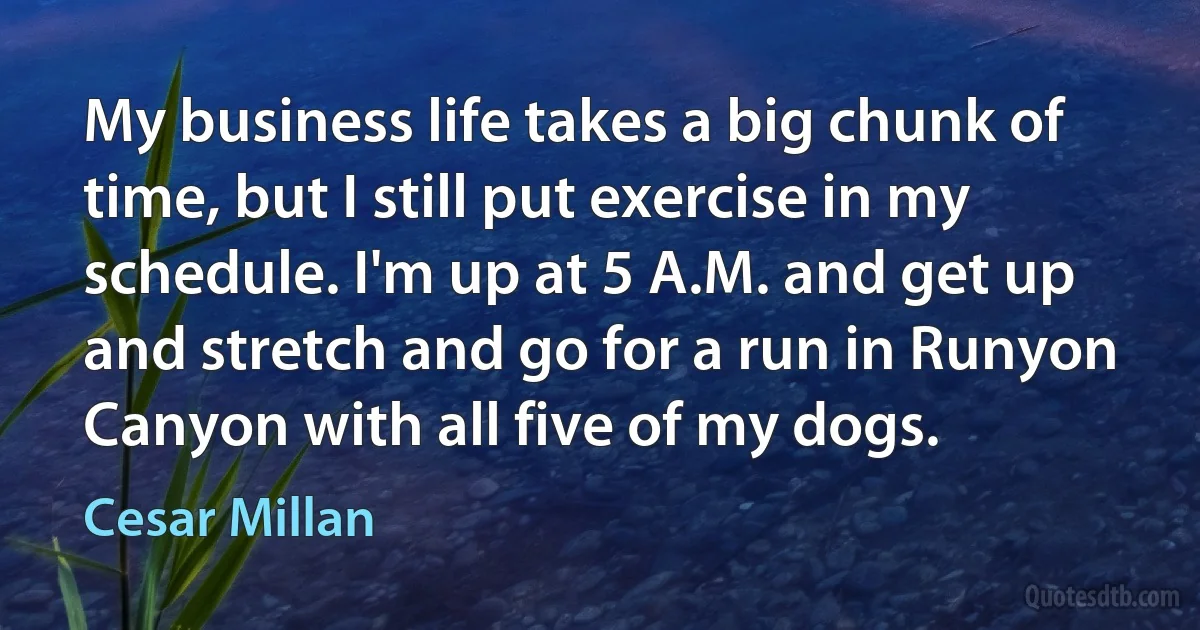 My business life takes a big chunk of time, but I still put exercise in my schedule. I'm up at 5 A.M. and get up and stretch and go for a run in Runyon Canyon with all five of my dogs. (Cesar Millan)