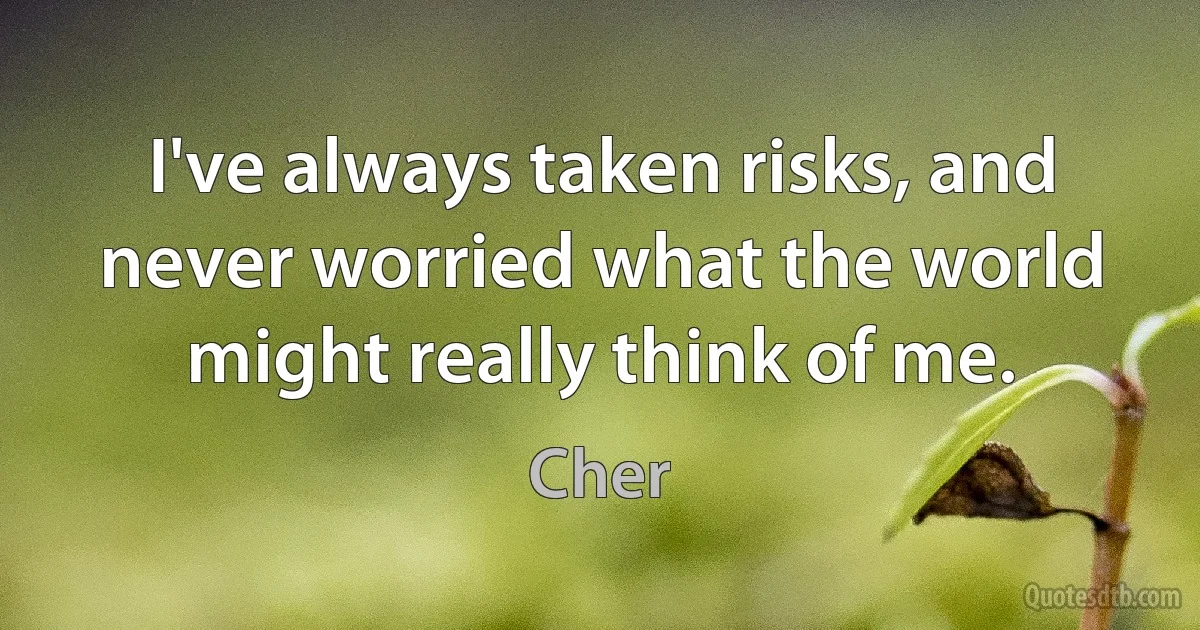 I've always taken risks, and never worried what the world might really think of me. (Cher)