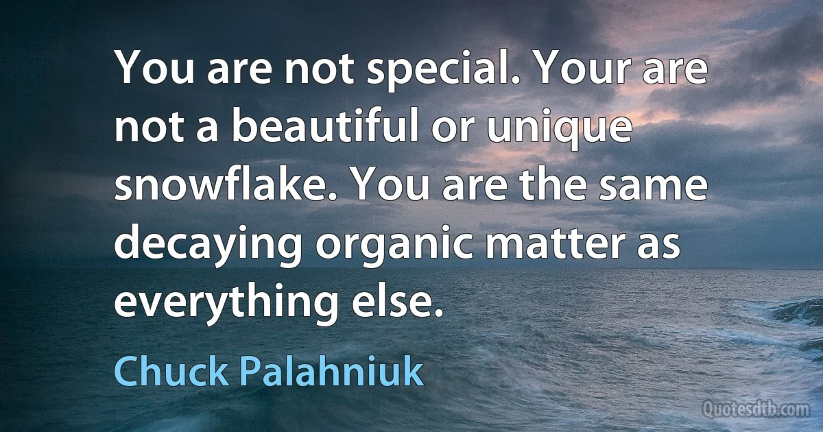 You are not special. Your are not a beautiful or unique snowflake. You are the same decaying organic matter as everything else. (Chuck Palahniuk)