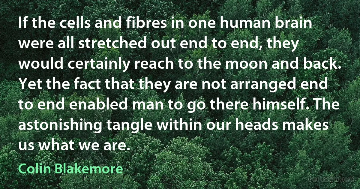 If the cells and fibres in one human brain were all stretched out end to end, they would certainly reach to the moon and back. Yet the fact that they are not arranged end to end enabled man to go there himself. The astonishing tangle within our heads makes us what we are. (Colin Blakemore)