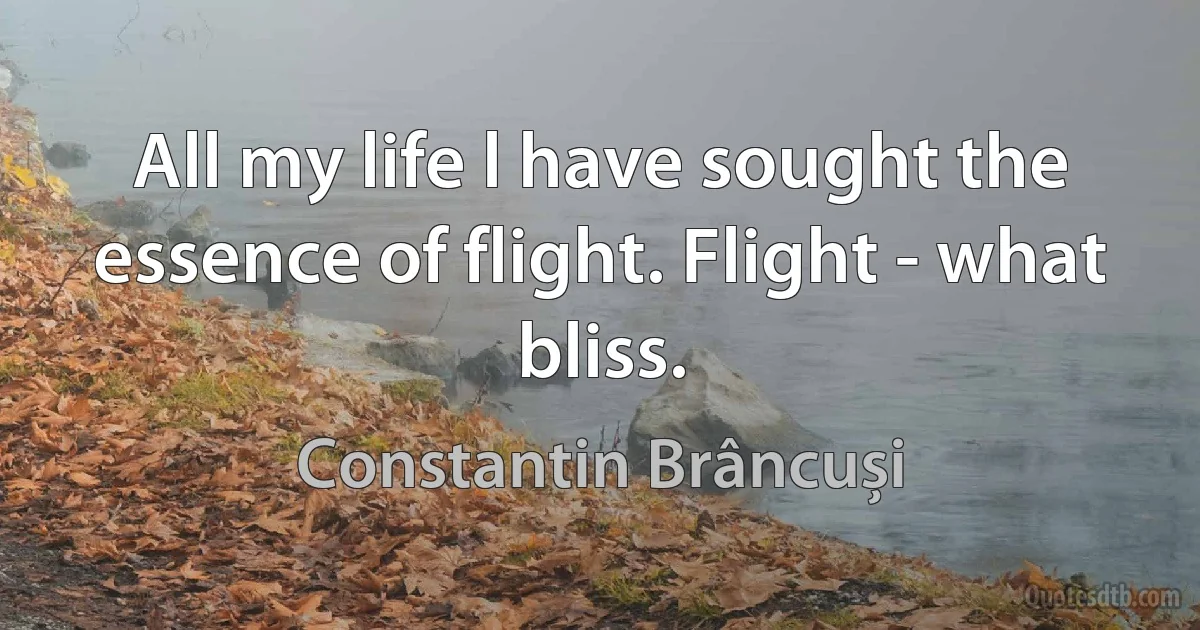 All my life l have sought the essence of flight. Flight - what bliss. (Constantin Brâncuși)