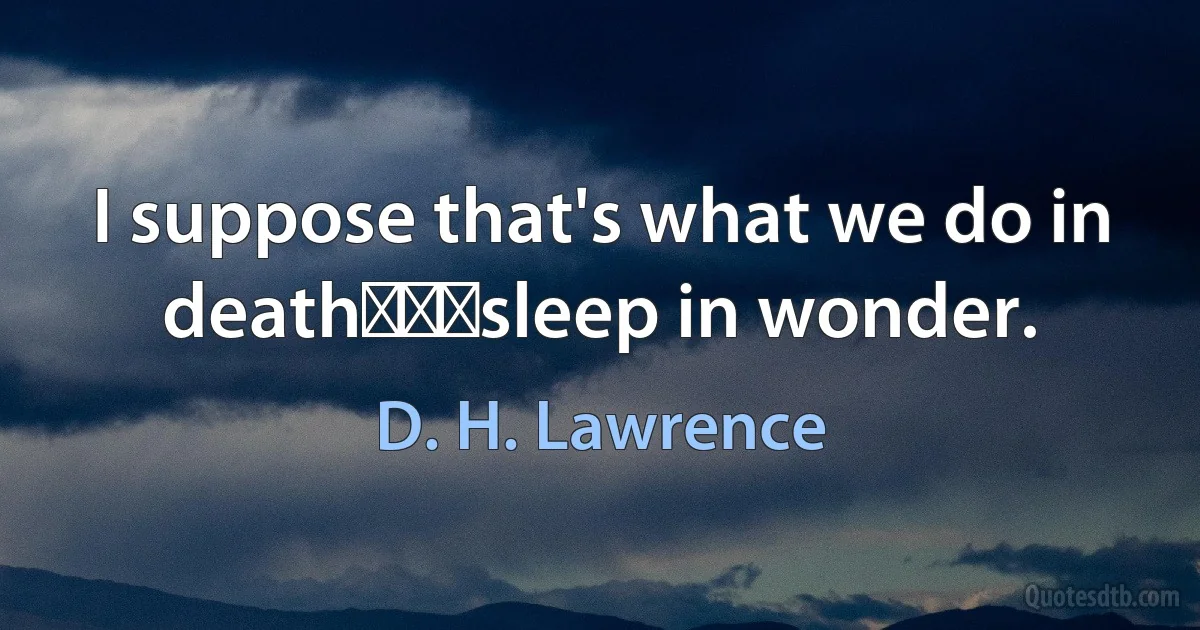 I suppose that's what we do in death⎯⎯⎯sleep in wonder. (D. H. Lawrence)