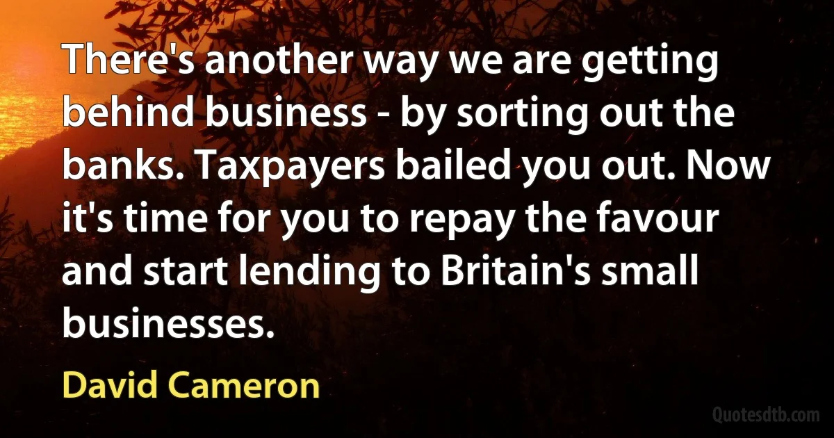 There's another way we are getting behind business - by sorting out the banks. Taxpayers bailed you out. Now it's time for you to repay the favour and start lending to Britain's small businesses. (David Cameron)