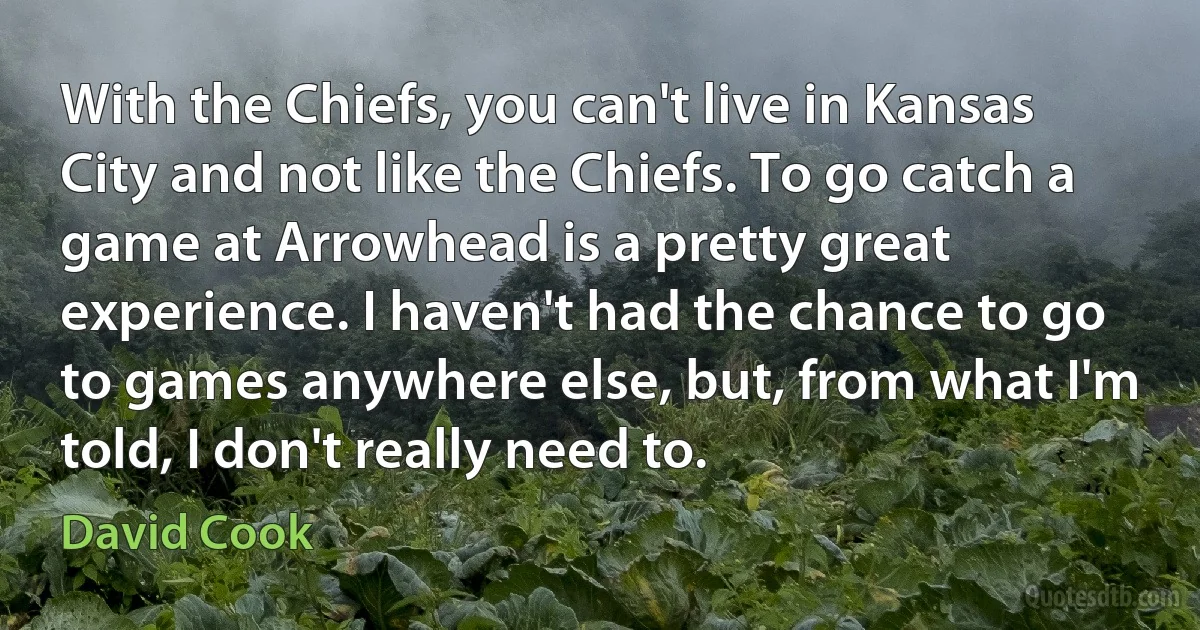 With the Chiefs, you can't live in Kansas City and not like the Chiefs. To go catch a game at Arrowhead is a pretty great experience. I haven't had the chance to go to games anywhere else, but, from what I'm told, I don't really need to. (David Cook)