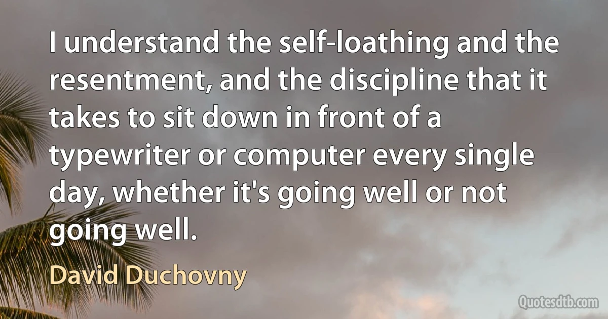 I understand the self-loathing and the resentment, and the discipline that it takes to sit down in front of a typewriter or computer every single day, whether it's going well or not going well. (David Duchovny)