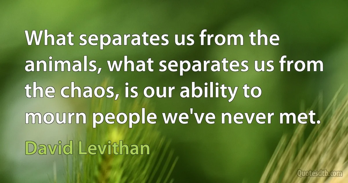 What separates us from the animals, what separates us from the chaos, is our ability to mourn people we've never met. (David Levithan)