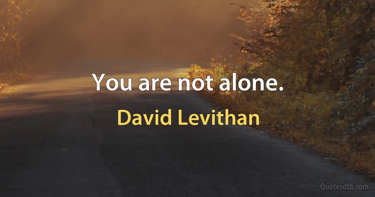 You are not alone. (David Levithan)