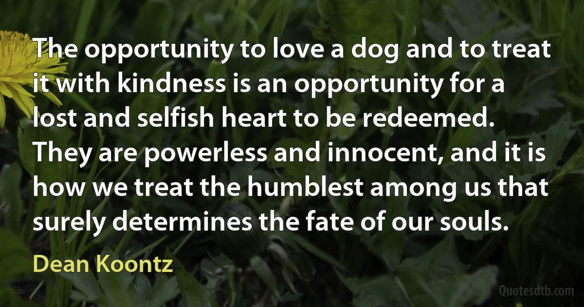 The opportunity to love a dog and to treat it with kindness is an opportunity for a lost and selfish heart to be redeemed. They are powerless and innocent, and it is how we treat the humblest among us that surely determines the fate of our souls. (Dean Koontz)