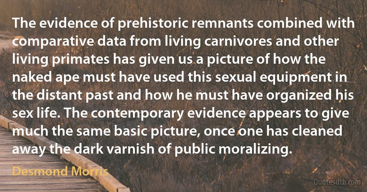 The evidence of prehistoric remnants combined with comparative data from living carnivores and other living primates has given us a picture of how the naked ape must have used this sexual equipment in the distant past and how he must have organized his sex life. The contemporary evidence appears to give much the same basic picture, once one has cleaned away the dark varnish of public moralizing. (Desmond Morris)