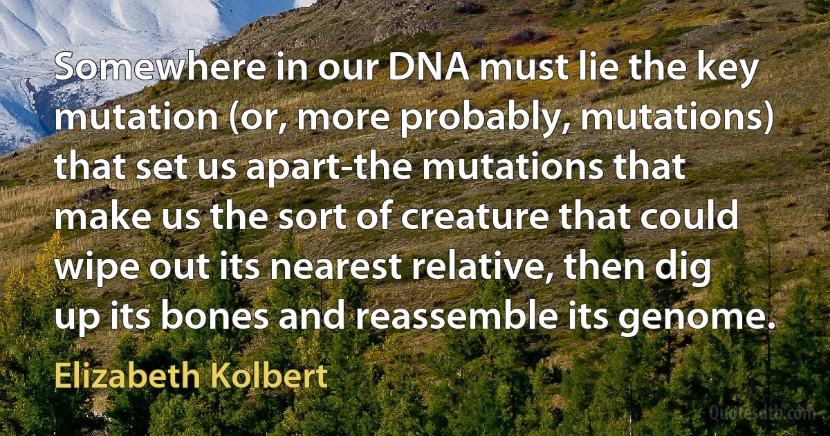 Somewhere in our DNA must lie the key mutation (or, more probably, mutations) that set us apart-the mutations that make us the sort of creature that could wipe out its nearest relative, then dig up its bones and reassemble its genome. (Elizabeth Kolbert)