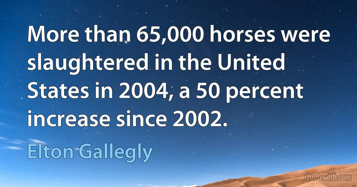 More than 65,000 horses were slaughtered in the United States in 2004, a 50 percent increase since 2002. (Elton Gallegly)