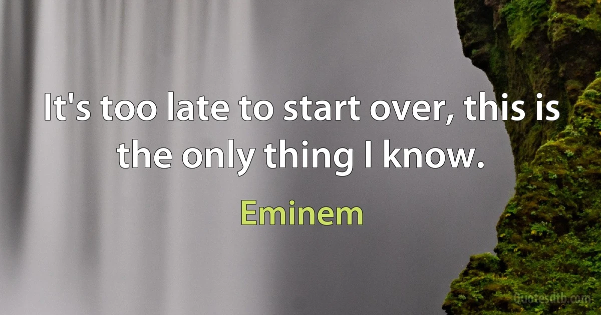 It's too late to start over, this is the only thing I know. (Eminem)