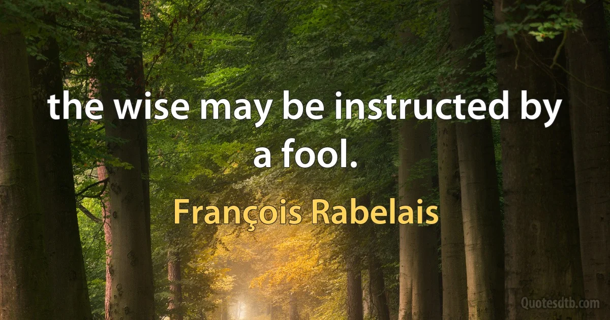 the wise may be instructed by a fool. (François Rabelais)