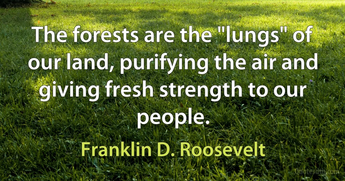 The forests are the "lungs" of our land, purifying the air and giving fresh strength to our people. (Franklin D. Roosevelt)