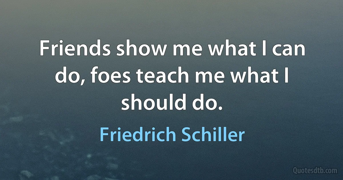 Friends show me what I can do, foes teach me what I should do. (Friedrich Schiller)