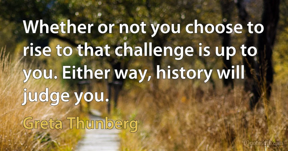 Whether or not you choose to rise to that challenge is up to you. Either way, history will judge you. (Greta Thunberg)