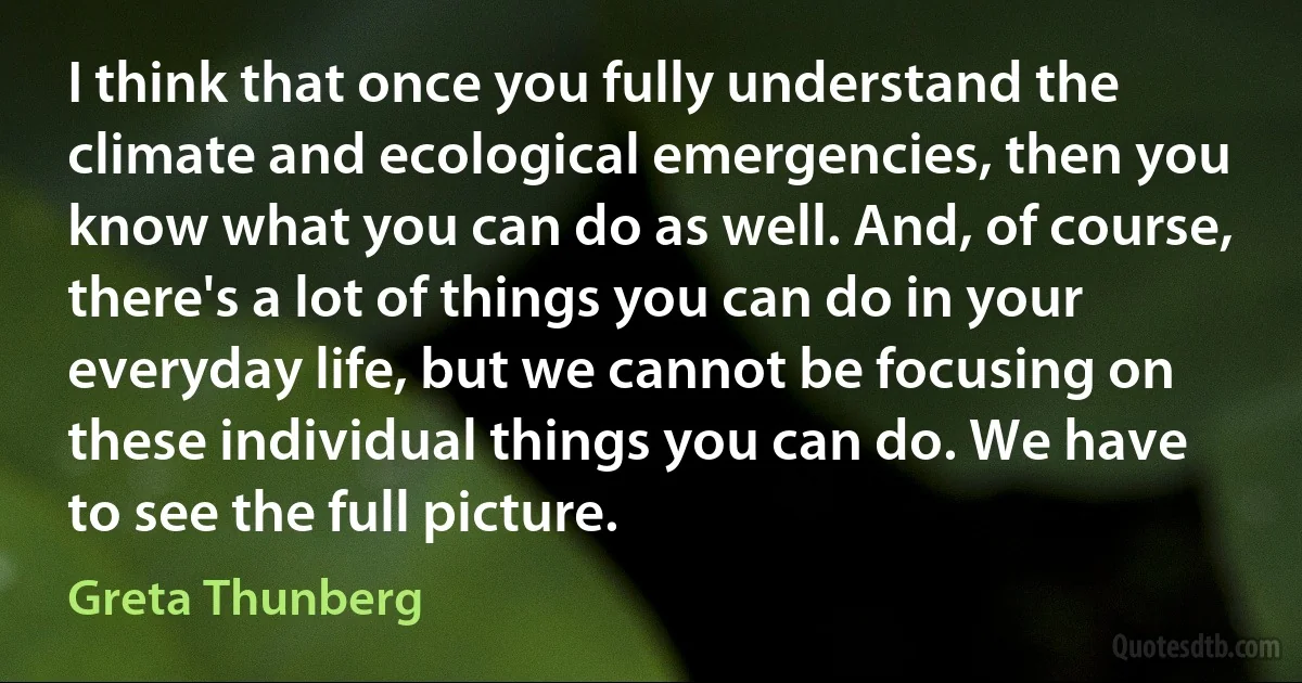 I think that once you fully understand the climate and ecological emergencies, then you know what you can do as well. And, of course, there's a lot of things you can do in your everyday life, but we cannot be focusing on these individual things you can do. We have to see the full picture. (Greta Thunberg)