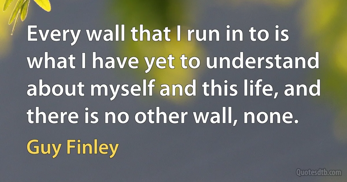 Every wall that I run in to is what I have yet to understand about myself and this life, and there is no other wall, none. (Guy Finley)