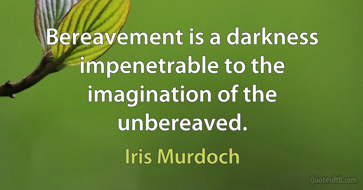 Bereavement is a darkness impenetrable to the imagination of the unbereaved. (Iris Murdoch)