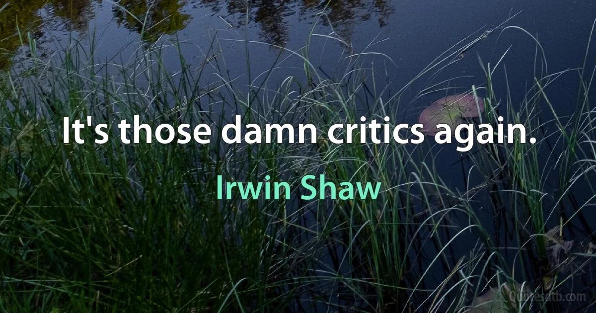 It's those damn critics again. (Irwin Shaw)