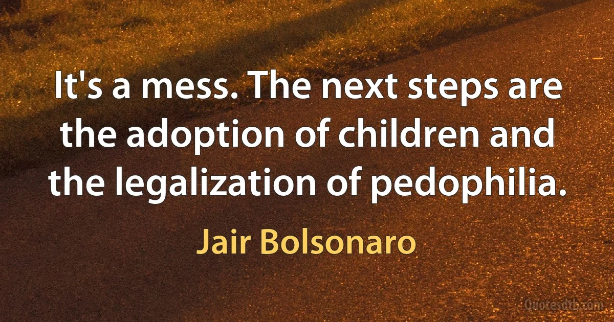 It's a mess. The next steps are the adoption of children and the legalization of pedophilia. (Jair Bolsonaro)