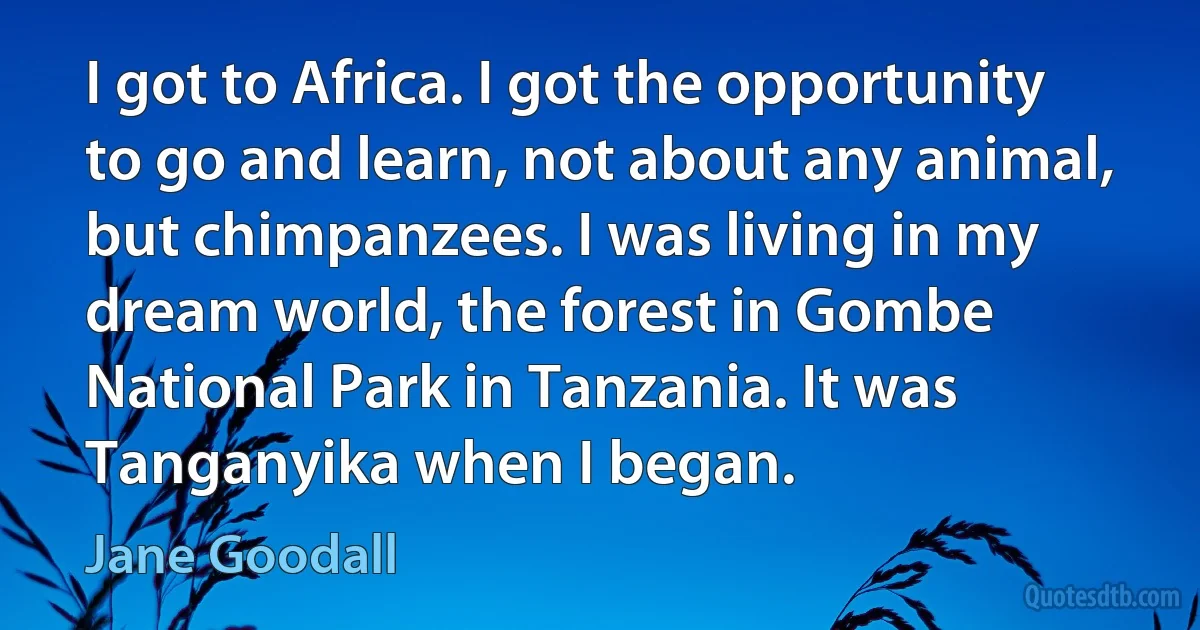 I got to Africa. I got the opportunity to go and learn, not about any animal, but chimpanzees. I was living in my dream world, the forest in Gombe National Park in Tanzania. It was Tanganyika when I began. (Jane Goodall)