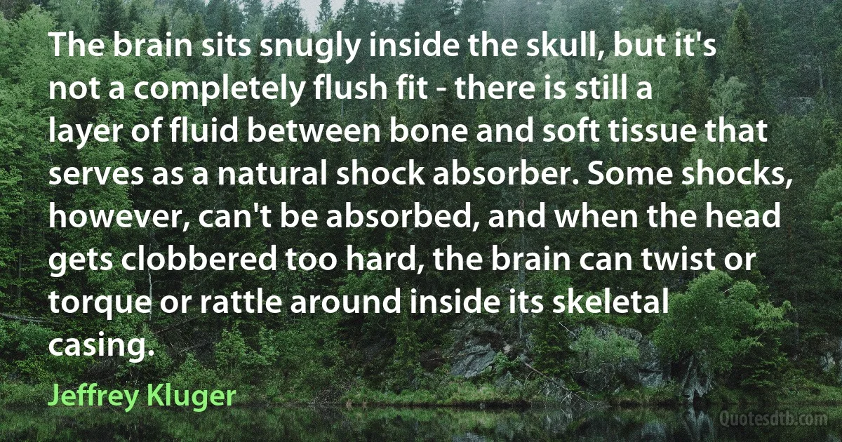 The brain sits snugly inside the skull, but it's not a completely flush fit - there is still a layer of fluid between bone and soft tissue that serves as a natural shock absorber. Some shocks, however, can't be absorbed, and when the head gets clobbered too hard, the brain can twist or torque or rattle around inside its skeletal casing. (Jeffrey Kluger)