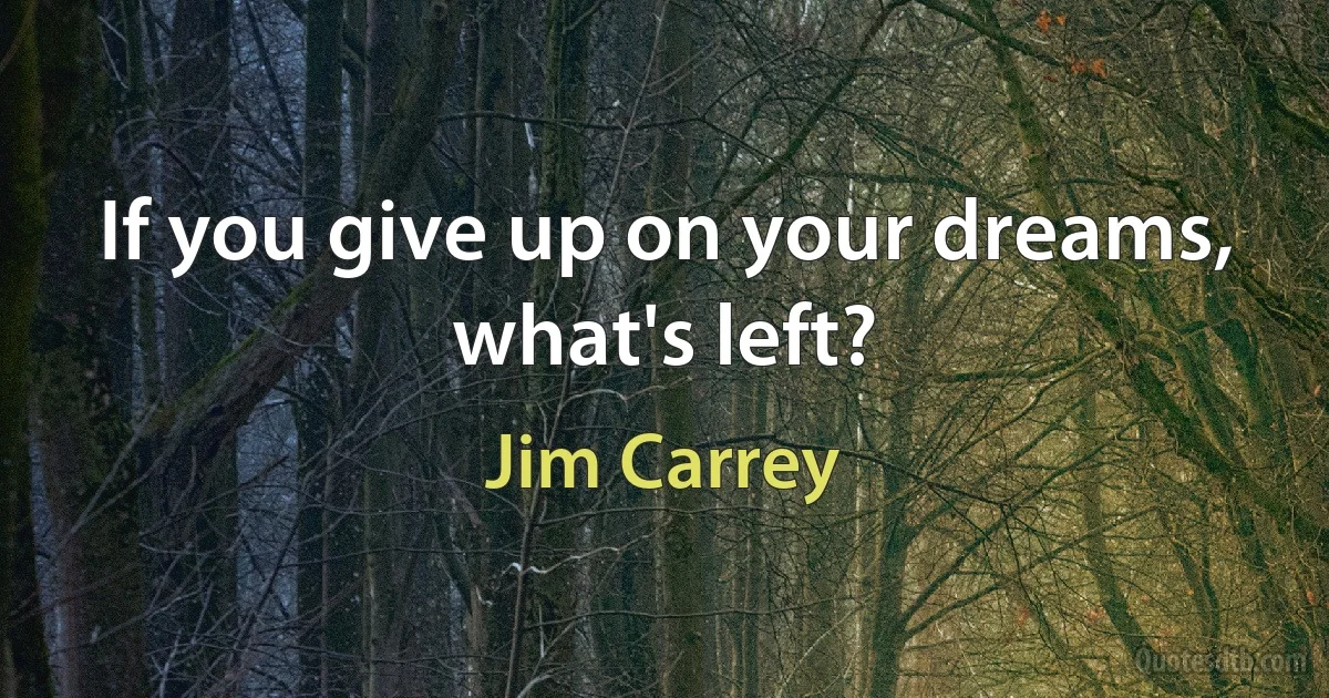 If you give up on your dreams, what's left? (Jim Carrey)