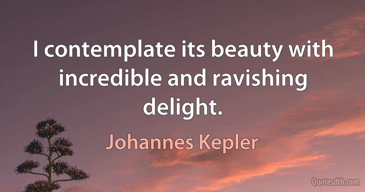 I contemplate its beauty with incredible and ravishing delight. (Johannes Kepler)