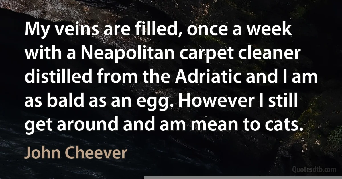 My veins are filled, once a week with a Neapolitan carpet cleaner distilled from the Adriatic and I am as bald as an egg. However I still get around and am mean to cats. (John Cheever)