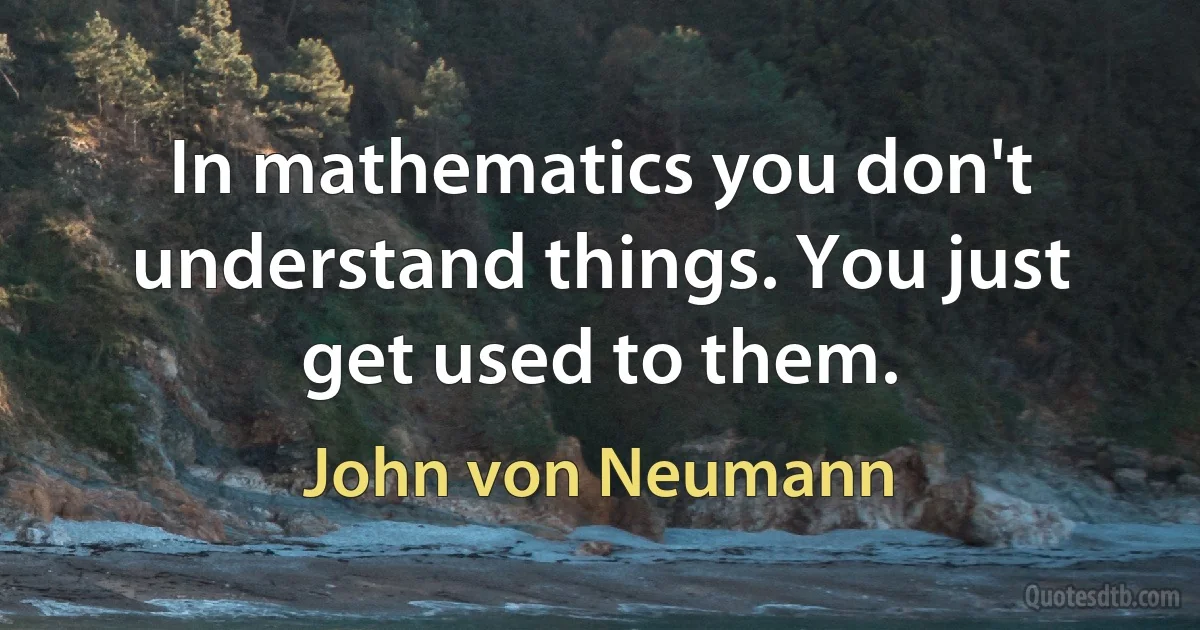 In mathematics you don't understand things. You just get used to them. (John von Neumann)