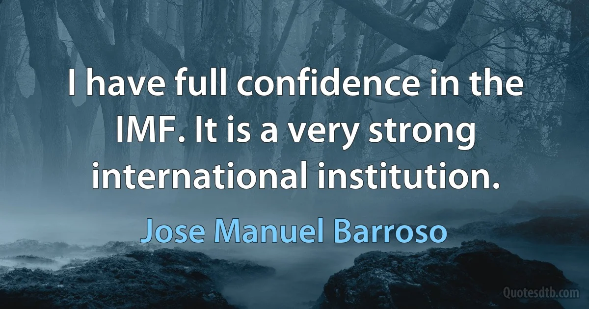 I have full confidence in the IMF. It is a very strong international institution. (Jose Manuel Barroso)