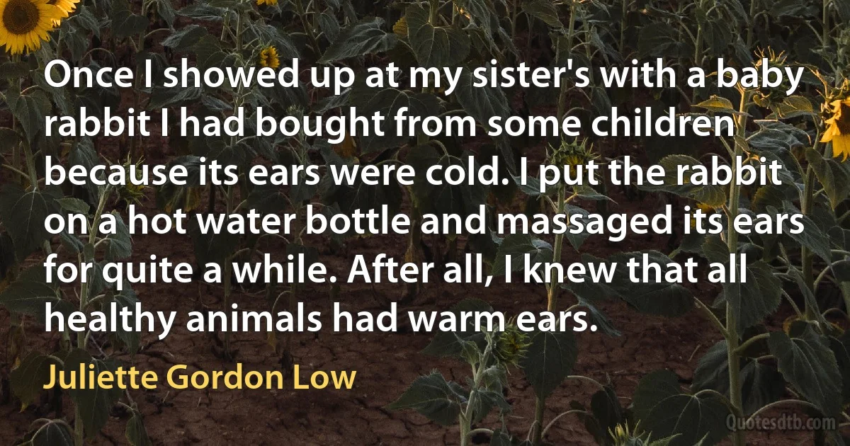 Once I showed up at my sister's with a baby rabbit I had bought from some children because its ears were cold. I put the rabbit on a hot water bottle and massaged its ears for quite a while. After all, I knew that all healthy animals had warm ears. (Juliette Gordon Low)