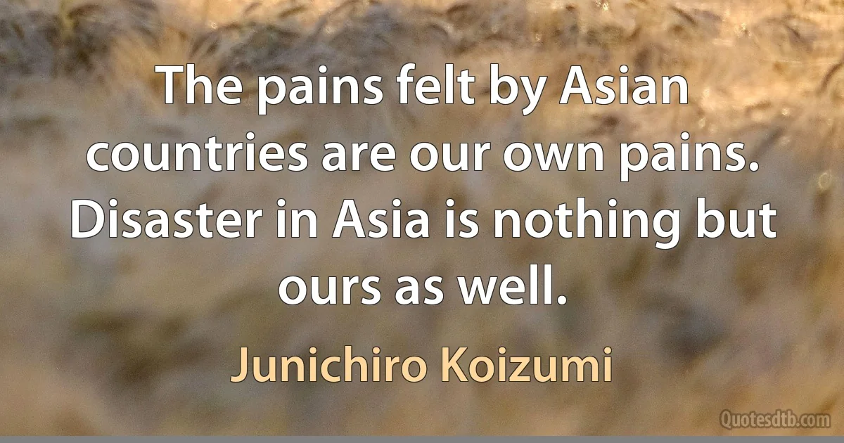 The pains felt by Asian countries are our own pains. Disaster in Asia is nothing but ours as well. (Junichiro Koizumi)