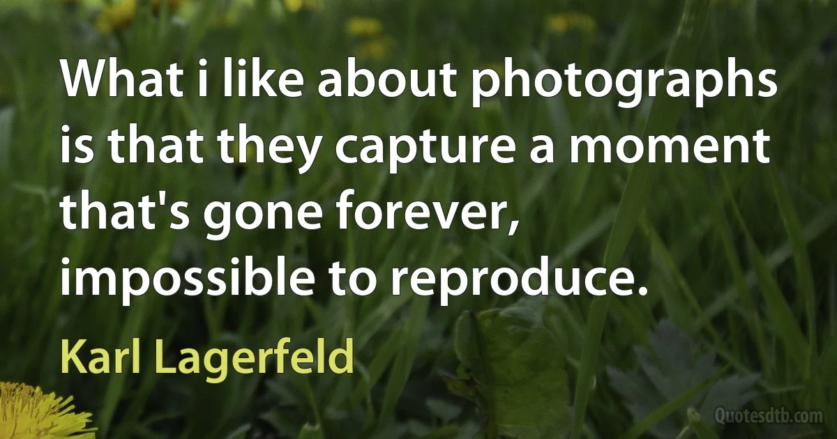 What i like about photographs is that they capture a moment that's gone forever, impossible to reproduce. (Karl Lagerfeld)