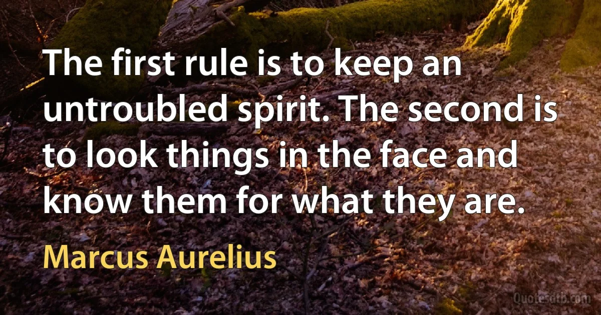 The first rule is to keep an untroubled spirit. The second is to look things in the face and know them for what they are. (Marcus Aurelius)